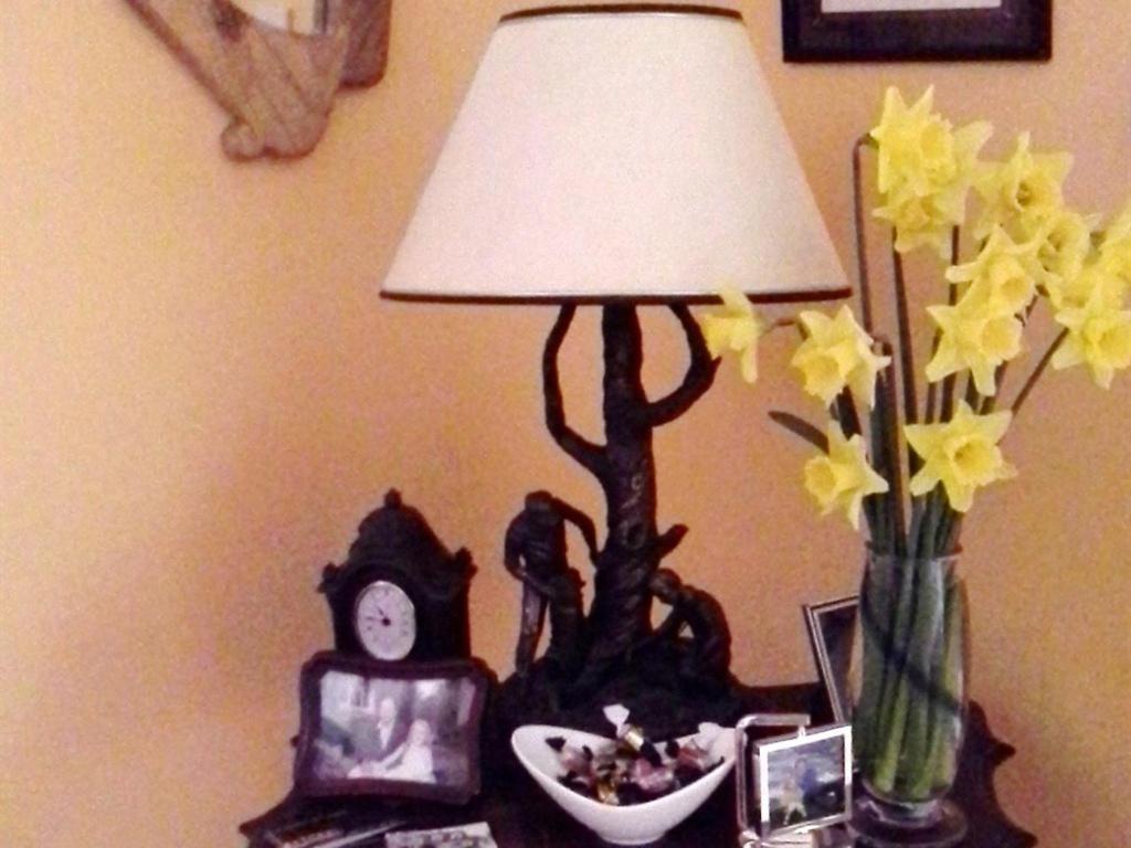 Blossom Hill Bed And Breakfast Killaloe Zewnętrze zdjęcie