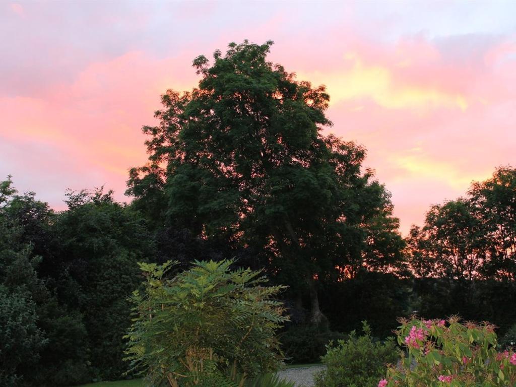 Blossom Hill Bed And Breakfast Killaloe Zewnętrze zdjęcie
